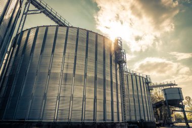 Modern bir tahıl ambarının düşük açılı görüntüsü.