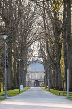 Çıplak ağaçlar arasında bir eve karşı boş bir sokağın dikey çekimi.