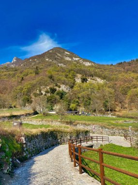 Güneşli bir günde güzel dağların dikey görüntüsü.