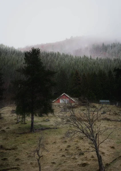 Vue Verticale Une Maison Campagne Près Forêt Par Une Sombre — Photo