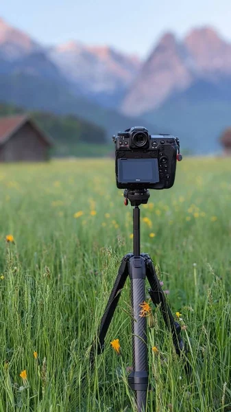 Selektivní Záběr Kamery Stativu Německém Edelweiss Při Pohledu Rakouské Alpy — Stock fotografie