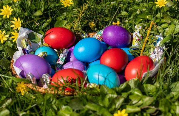 Een Close Shot Van Gekleurde Eieren Het Gras Pasen Vieren — Stockfoto