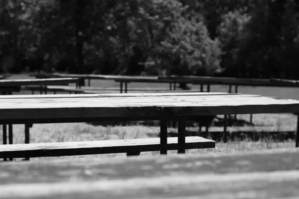 Boş Piknik Masalarının Gri Tonlu Görüntüsü — Stok fotoğraf