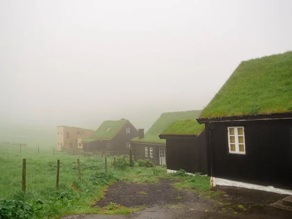霧の日に草で覆われた屋根を持つ小さな木製のヨーロッパの家 — ストック写真
