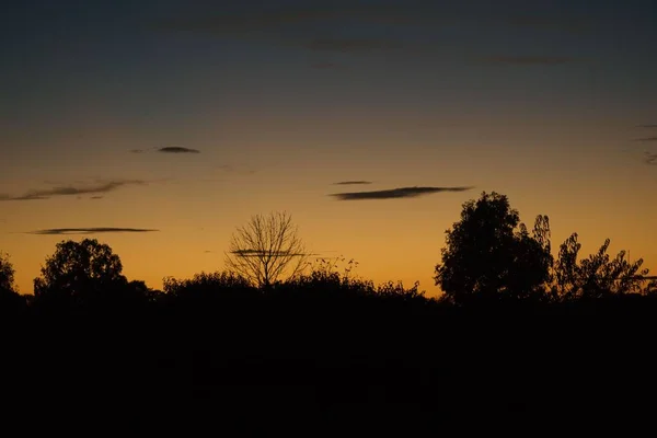 Gökyüzünde Akşam Güneşi Olan Bir Ormanın Silueti Arka Planlar Için — Stok fotoğraf