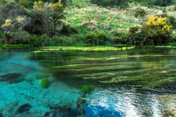 Beau Paysage Printemps Bleu Putaruru Île Nord Nouvelle Zélande — Photo