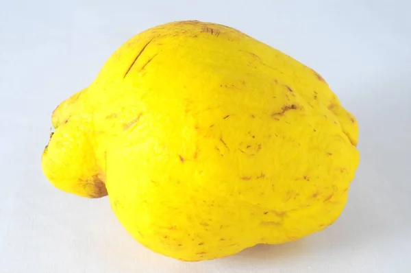 Cedro Molto Maturo Sano Sfondo Bianco — Foto Stock