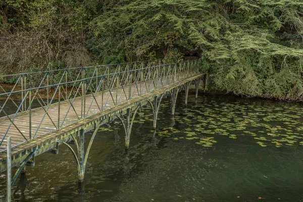 Bridge Water Green Natural Place Vegetation — Stock Photo, Image