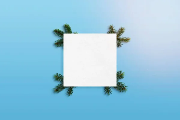 Papel Branco Com Ramos Abeto Uma Superfície Azul Pastel Natal — Fotografia de Stock