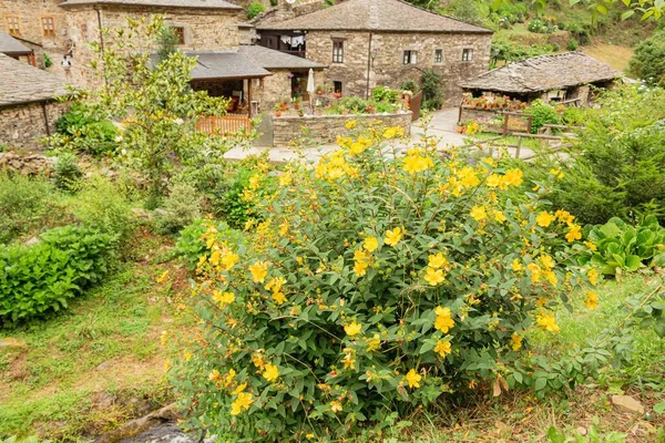 Hermosas Coloridas Flores Que Rodean Pueblo Veigas Taramundi Asturias —  Fotos de Stock