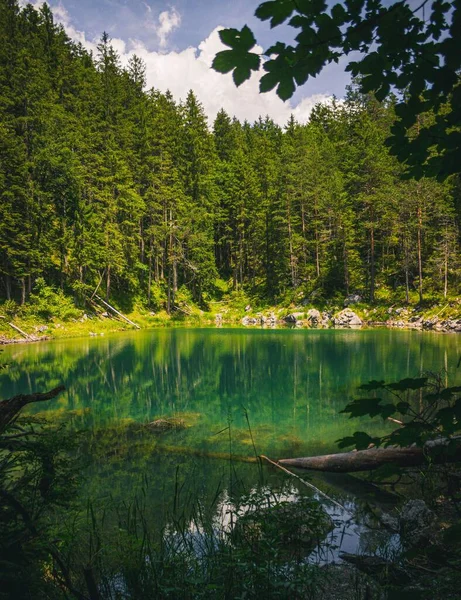 Krajobraz Jeziorem Las Niemczech Bawaria Eibsee — Zdjęcie stockowe