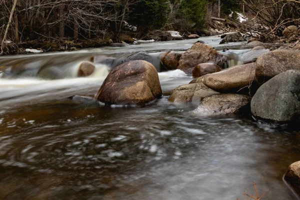 Landskap Mellersta Vrain Creek Raymond Colorado — Stockfoto