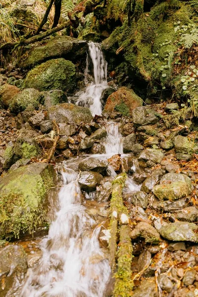Chorro Vertical Agua Que Fluye Través Rocas Musgosas Madeira Portugal — Foto de Stock