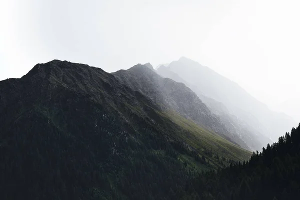 白い雲に覆われた高い森林の丘厚い霧 — ストック写真