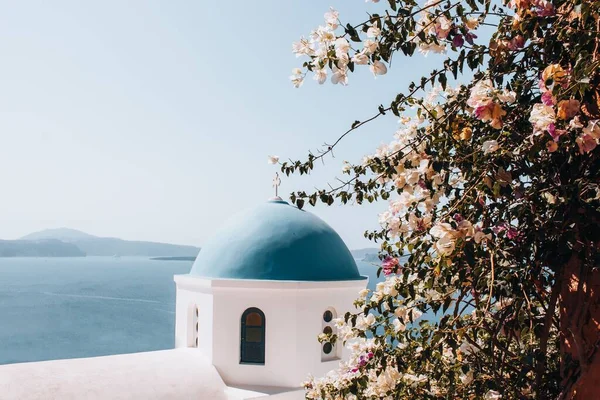 Blooming Tree Dome Sunlight Greece — Stock Photo, Image