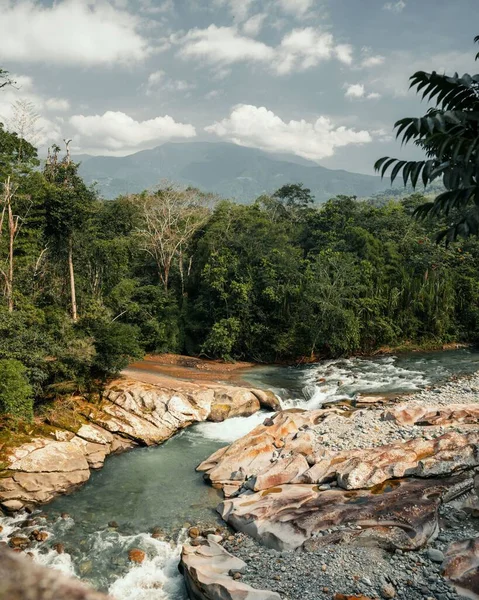 コロンビアの森を流れる川の垂直ショット — ストック写真