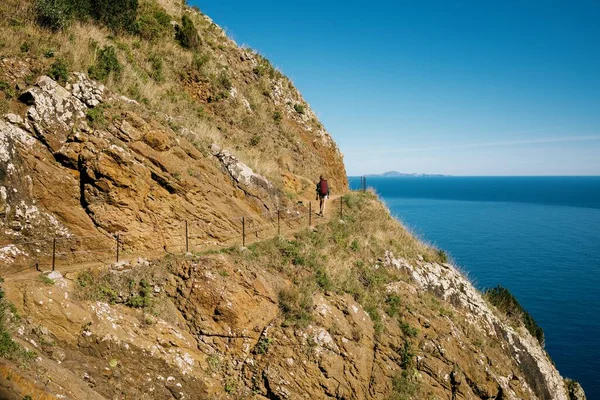 Beautiful Madeira Terrain Sunny Day — Stock Photo, Image