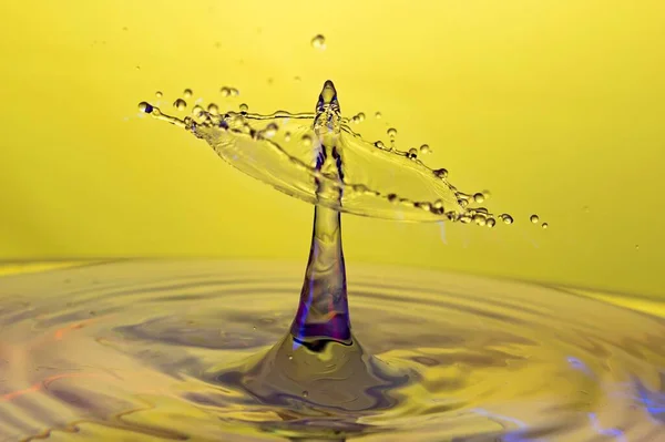 Капля Воды Многоцветная — стоковое фото