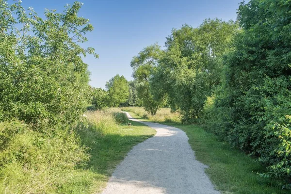 Nantwich Riverside Loop Passarela Paisagem Dia Ensolarado Cheshire — Fotografia de Stock