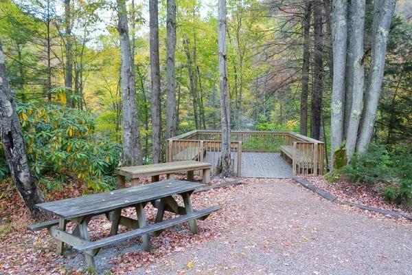 Batı Virginia Abd High Falls Manzaralı Piknik Masaları Gözlem Platformu — Stok fotoğraf