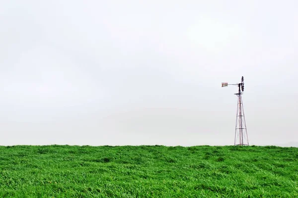 牧草地の広い畑に電柱がある — ストック写真