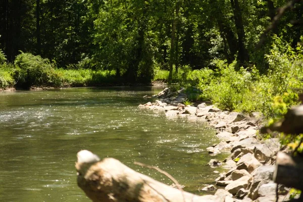 Huntingdon, Pennsylvania 'da yeşil bir ormandan akan bir nehir.