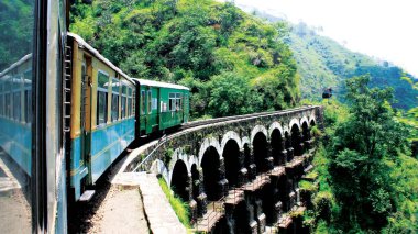 Köprüdeki trenden yeşil ormanlardan oluşan güzel bir manzara.