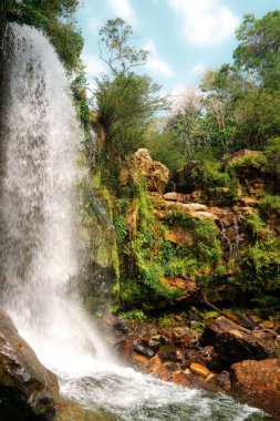 Kolombiya 'daki tropikal bir ormanda bir şelalenin dikey görüntüsü.