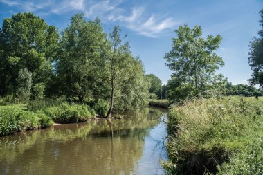 Nantwich Stok Fotoğrafçılık Kasabası Güneşli Gün Parkı manzarası, yürüyüş, Mill Adası, Weaver Nehri.