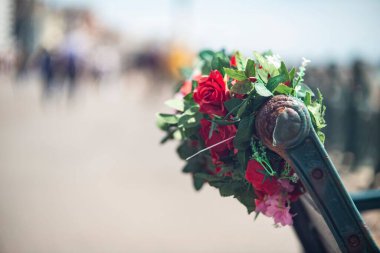 Bokeh arka planında paslı bir bahçe arabasının sapında güzel çiçekler ve yeşil yapraklar.