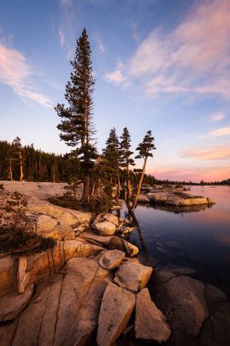 Gün batımında bulutlu gökyüzünün altındaki ağaçlarla kayalık bir sahil şeridinin dikey görüntüsü.