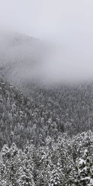 Góry Skaliste Zimą Pobliżu Raymond Kolorado — Zdjęcie stockowe