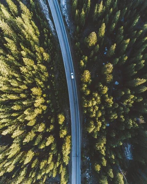 Ağaçlarla Çevrili Kırsal Bir Yolda Giden Bir Arabanın Dikey Drone — Stok fotoğraf