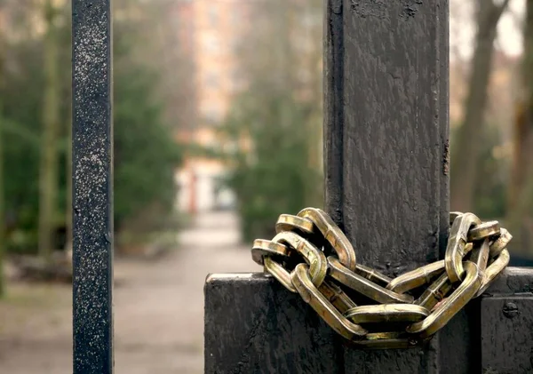Büyük Altın Zincir Bir Kapıyı Kilitliyor — Stok fotoğraf