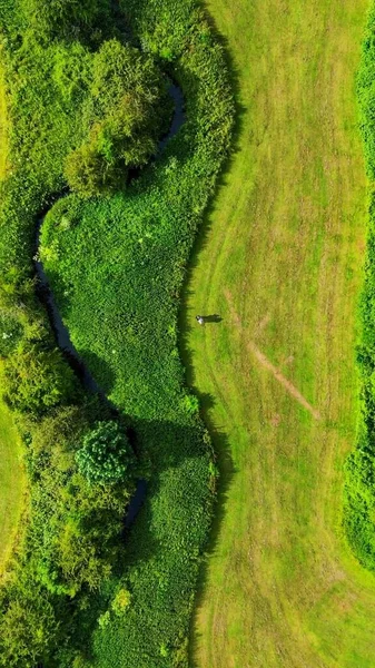 Vzdušný Pohled Krajinu Obklopenou Zelenými Poli Rostoucí Stromy — Stock fotografie