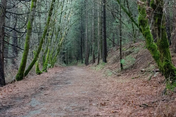 Trail Empire Mine State Historic Park California — Stock Photo, Image