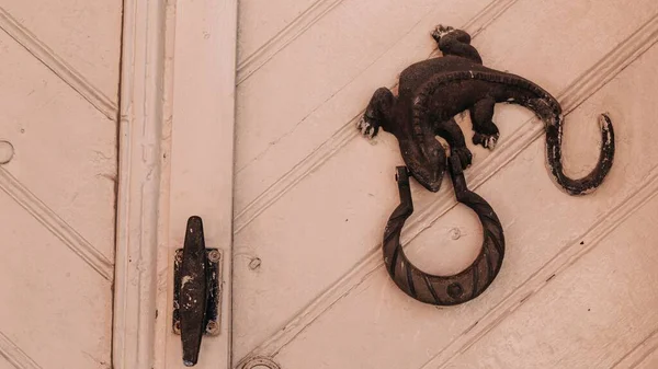 Rusty Old Metal Lizard Door Knocker White Wall — Stock Photo, Image