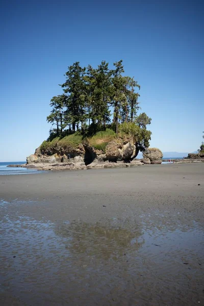 Plano Vertical Una Pequeña Isla Salt Creek Washington — Foto de Stock