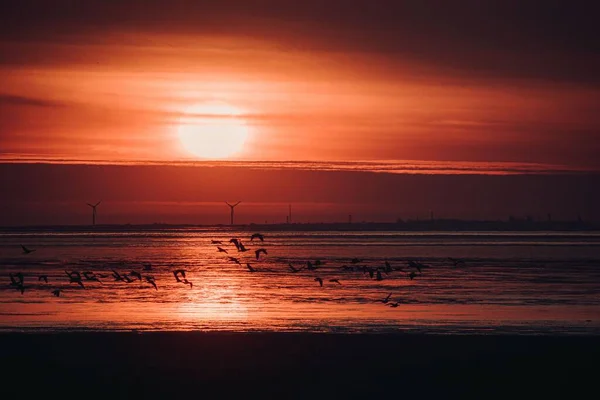 Ein Panoramabild Eines Wunderschönen Sonnenuntergangs Über Dem Meer — Stockfoto