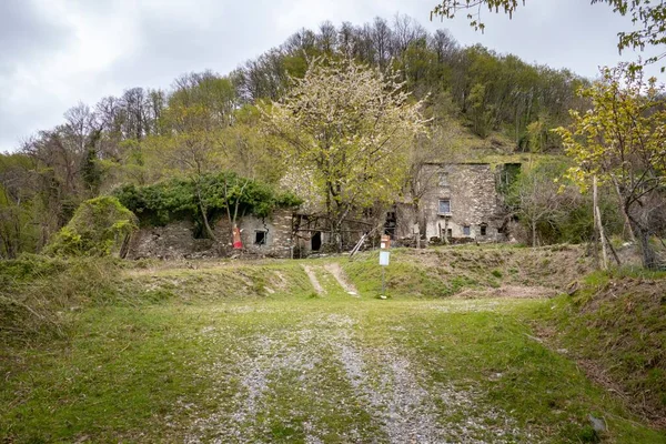 Widok Dwupiętrowy Stary Kamienny Dom Pokryty Drzewami Pod Wzgórzem — Zdjęcie stockowe