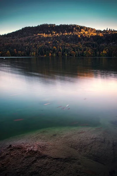 Ein Atemberaubender Blick Auf Bunte Herbstbäume Seeufer — Stockfoto