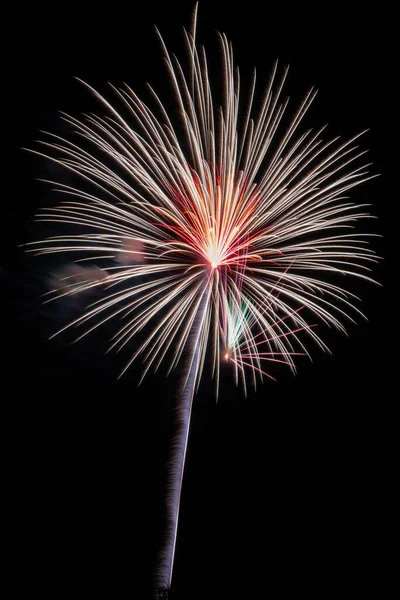 Vertical Shot Beautiful Fireworks Independence Day — Stock Photo, Image