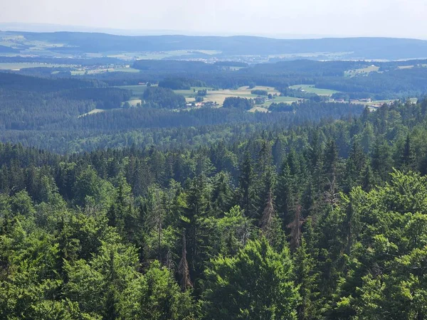 Manzaralı Bir Dağlık Ormanın Havadan Çekilmiş Görüntüsü — Stok fotoğraf