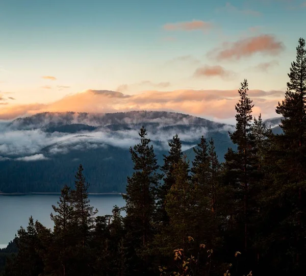 Malowniczy Widok Góry Pod Chmurami Jeziorem Sosnami — Zdjęcie stockowe