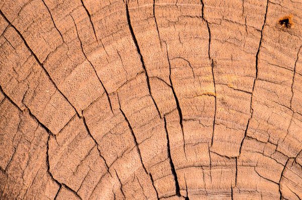 Текстура поверхности коричневого сухого дерева