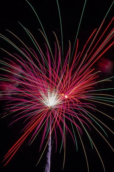 Vertical Shot Beautiful Fireworks Independence Day — Stock Photo, Image