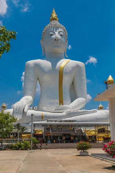 Plano Vertical Parque Con Estatuas Buda —  Fotos de Stock