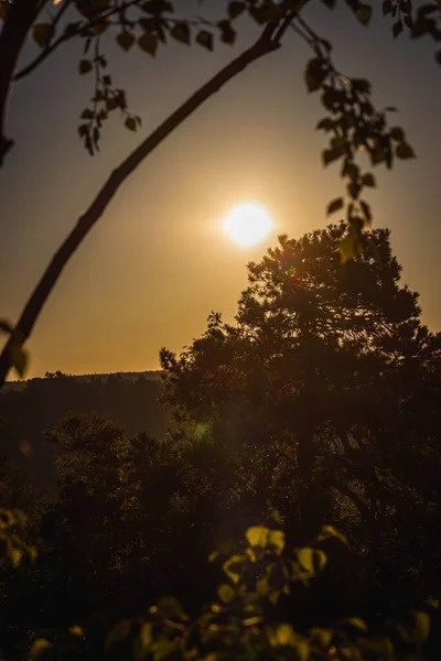 Krajina Stromy Sluncem Německu Sasku Saském Švýcarsku — Stock fotografie