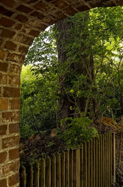 Вертикальный Снимок Декоративного Кирпичного Входа Деревянным Забором Пышной Весенней Растительностью — стоковое фото