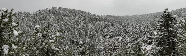 Skalnaté Hory Zimě Raymondu Coloradu — Stock fotografie